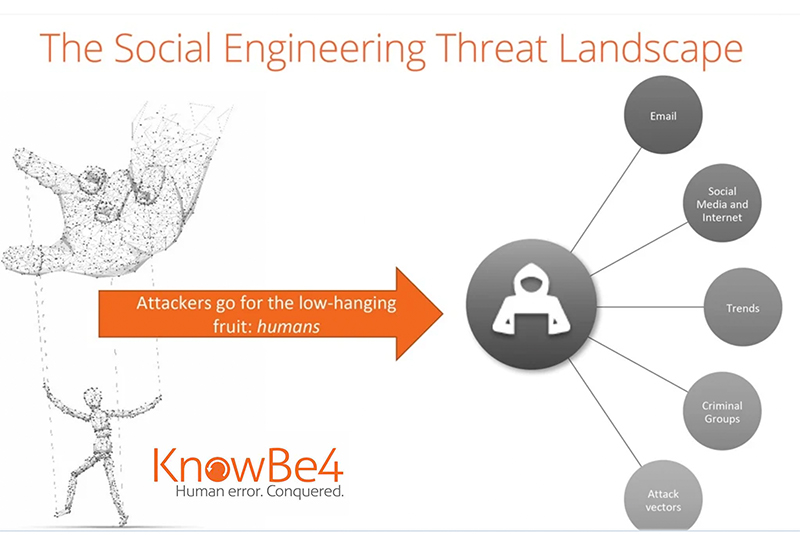 Social engineering (phishing, spear phishing and other cyber scams)